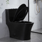 Retretes duales Matte Black Csa Toilet With 10,5 de los cuartos de baño de la válvula rasante del sifón áspero en negro