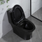 Retretes duales Matte Black Csa Toilet With 10,5 de los cuartos de baño de la válvula rasante del sifón áspero en negro