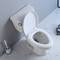 cisterna del bidé de Ada Comfort Height Toilet And de 17&quot; 20&quot; 19 pulgadas para el pequeño espacio