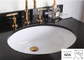 El nominal oval negro blanco de Ada Bathroom Sink Wall Hung Cupc esmaltó dentro