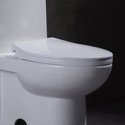 10 pulgadas de áspero en Ada Comfort Height Toilet For inhabilitaron rv con rubor del poder