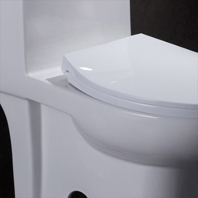 10 pulgadas de áspero en Ada Comfort Height Toilet For inhabilitaron rv con rubor del poder
