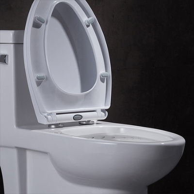 10 pulgadas de áspero en Ada Comfort Height Toilet For inhabilitaron rv con rubor del poder