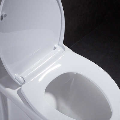 10 pulgadas de áspero en Ada Comfort Height Toilet For inhabilitaron rv con rubor del poder