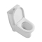 Cuarto de baño de una pieza de Ada Comfort Height Toilet Elongated de 19 pulgadas de cerámica