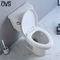 El mejor servicio de Ada Compliant Two-Piece Toilet In con el sistema rasante potente