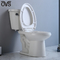 Ada Two Piece Toilet Flush armario de agua de 2 pedazos en el MAPA principal 1000G del cuarto de baño
