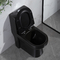 Sifón alargado de una pieza negro Jet Toilet Flushing Systems de Gpf de los retretes 1,6