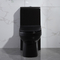 Sifón alargado de una pieza negro Jet Toilet Flushing Systems de Gpf de los retretes 1,6